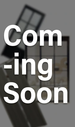 White Colour Toilet Swing Door with Q Hinge and Lami Frosted Glass Panel